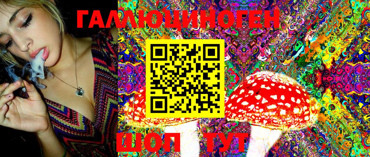 Псилоцибиновые грибы Magic Shrooms  Вход с VPN  Петропавловск-Камчатский  Псилоцибиновые грибы Cubensis 
