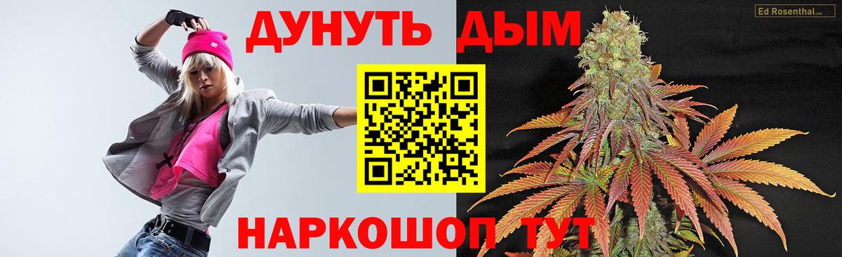 Конопля гибрид  Бошки Шишки план  Петропавловск-Камчатский  Вход с VPN 